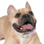 Valentine Conversation Heart Dog Collar Cute AF & Be Mine Pet Collar