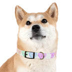 Valentine Conversation Heart Dog Collar Cute AF & Be Mine Pet Collar