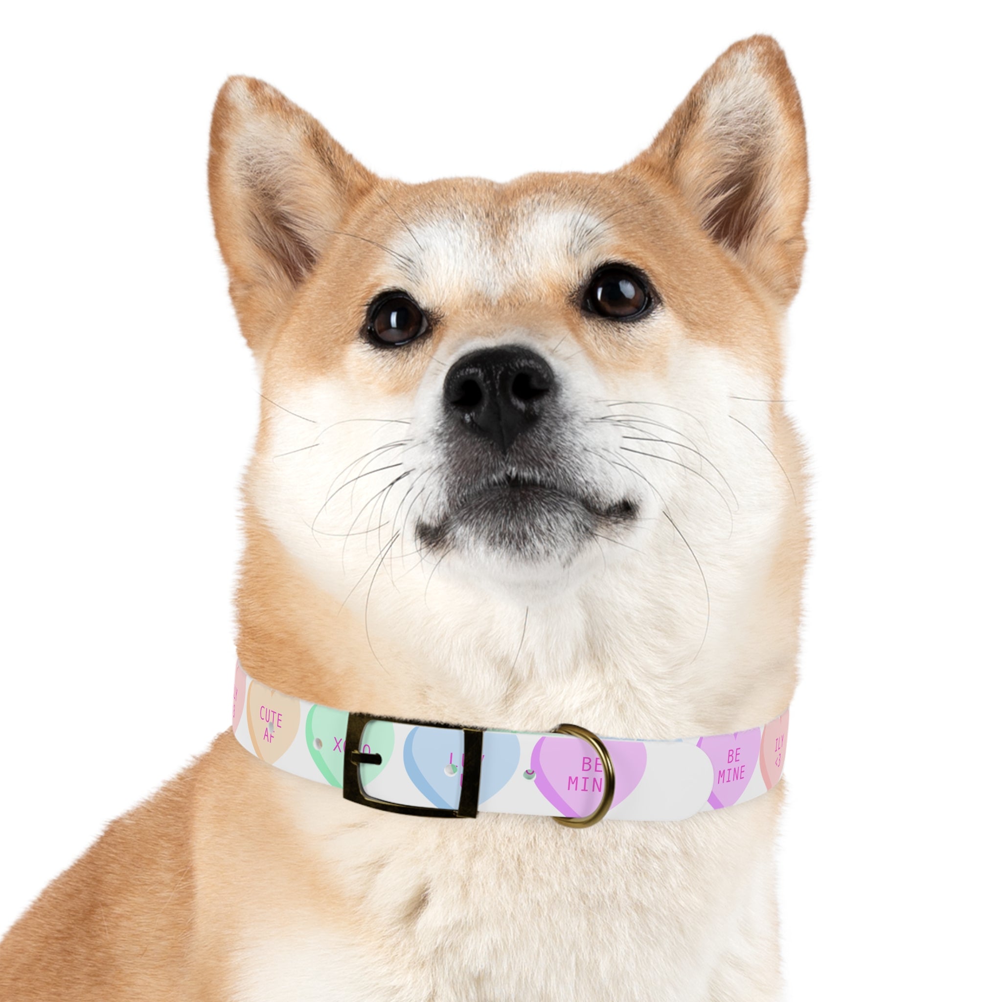 Valentine Conversation Heart Dog Collar Cute AF & Be Mine Pet Collar