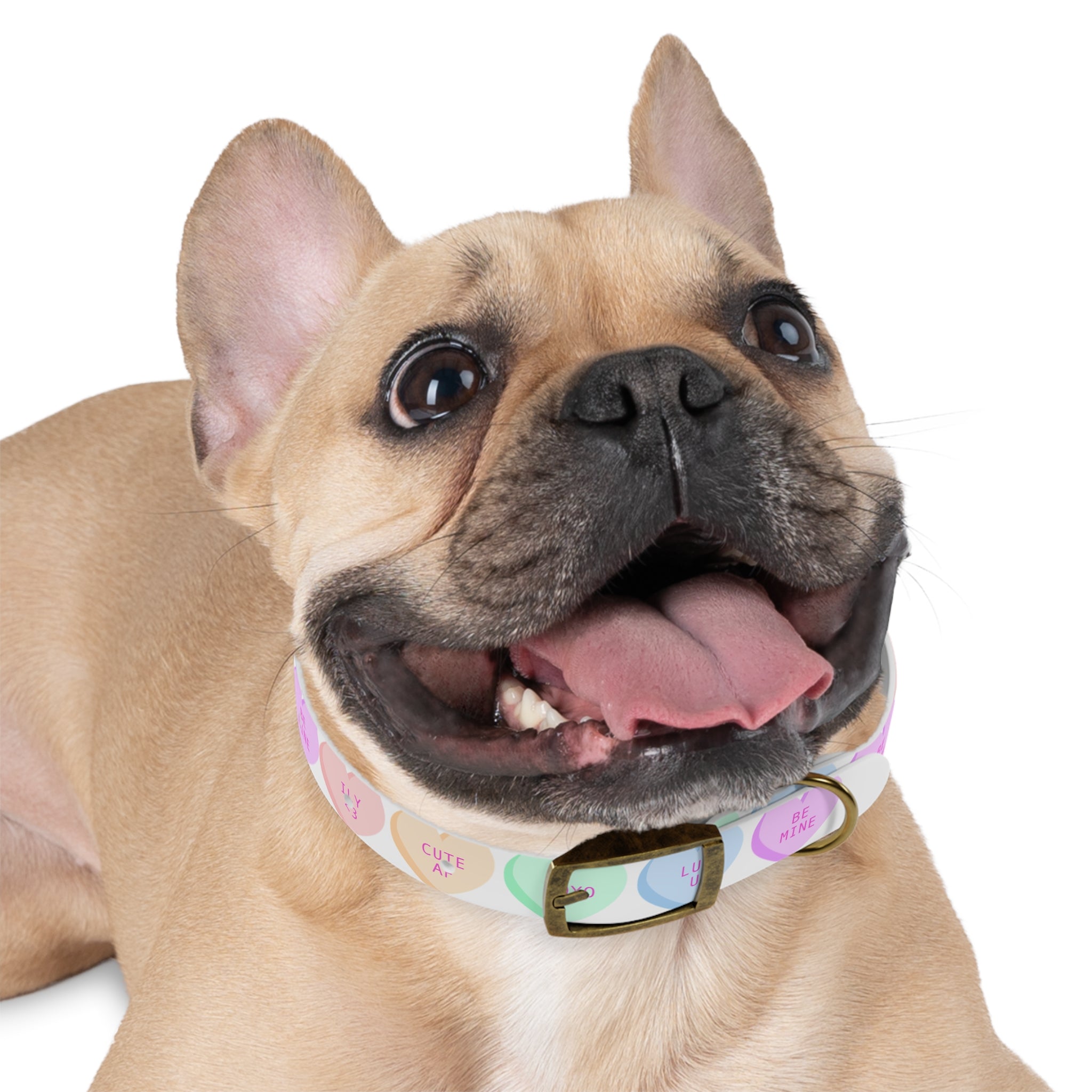 Valentine Conversation Heart Dog Collar Cute AF & Be Mine Pet Collar