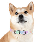 Valentine Conversation Heart Dog Collar Cute AF & Be Mine Pet Collar
