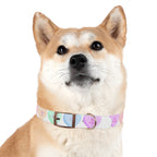 Valentine Conversation Heart Dog Collar Cute AF & Be Mine Pet Collar
