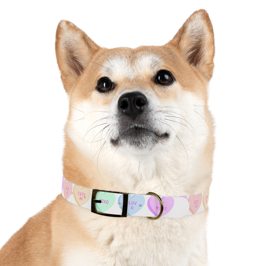 Valentine Conversation Heart Dog Collar Cute AF & Be Mine Pet Collar