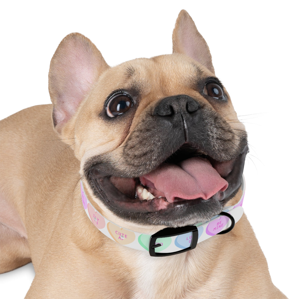 Valentine Conversation Heart Dog Collar Cute AF & Be Mine Pet Collar