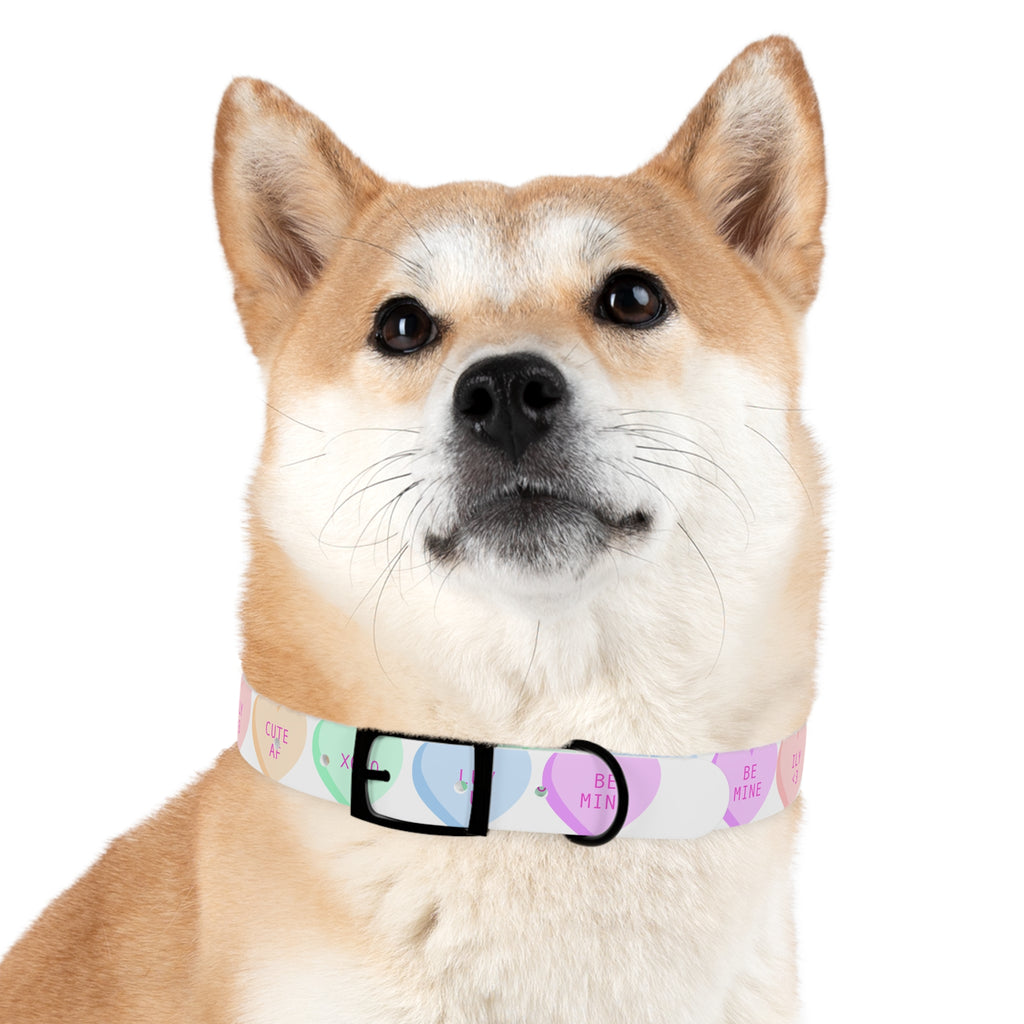 Valentine Conversation Heart Dog Collar Cute AF & Be Mine Pet Collar