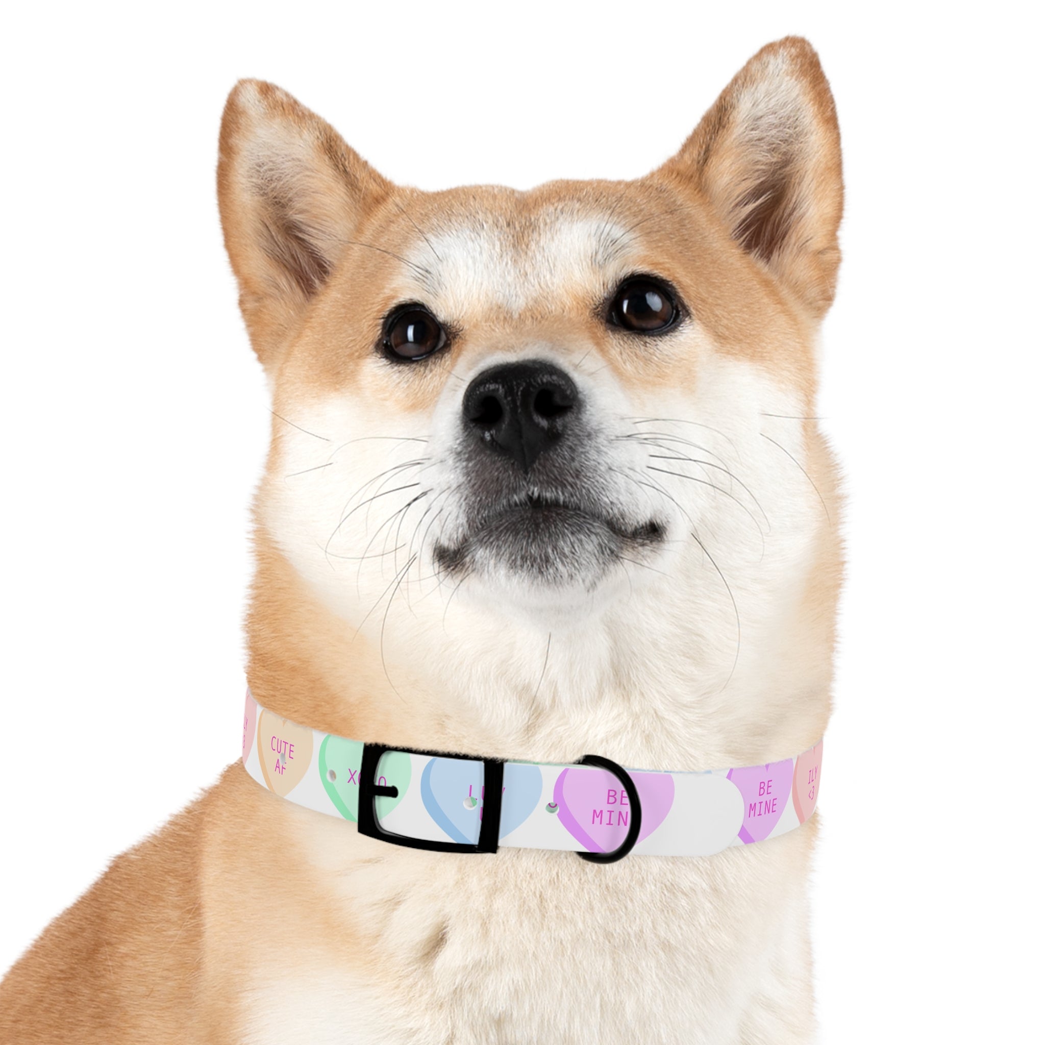 Valentine Conversation Heart Dog Collar Cute AF & Be Mine Pet Collar