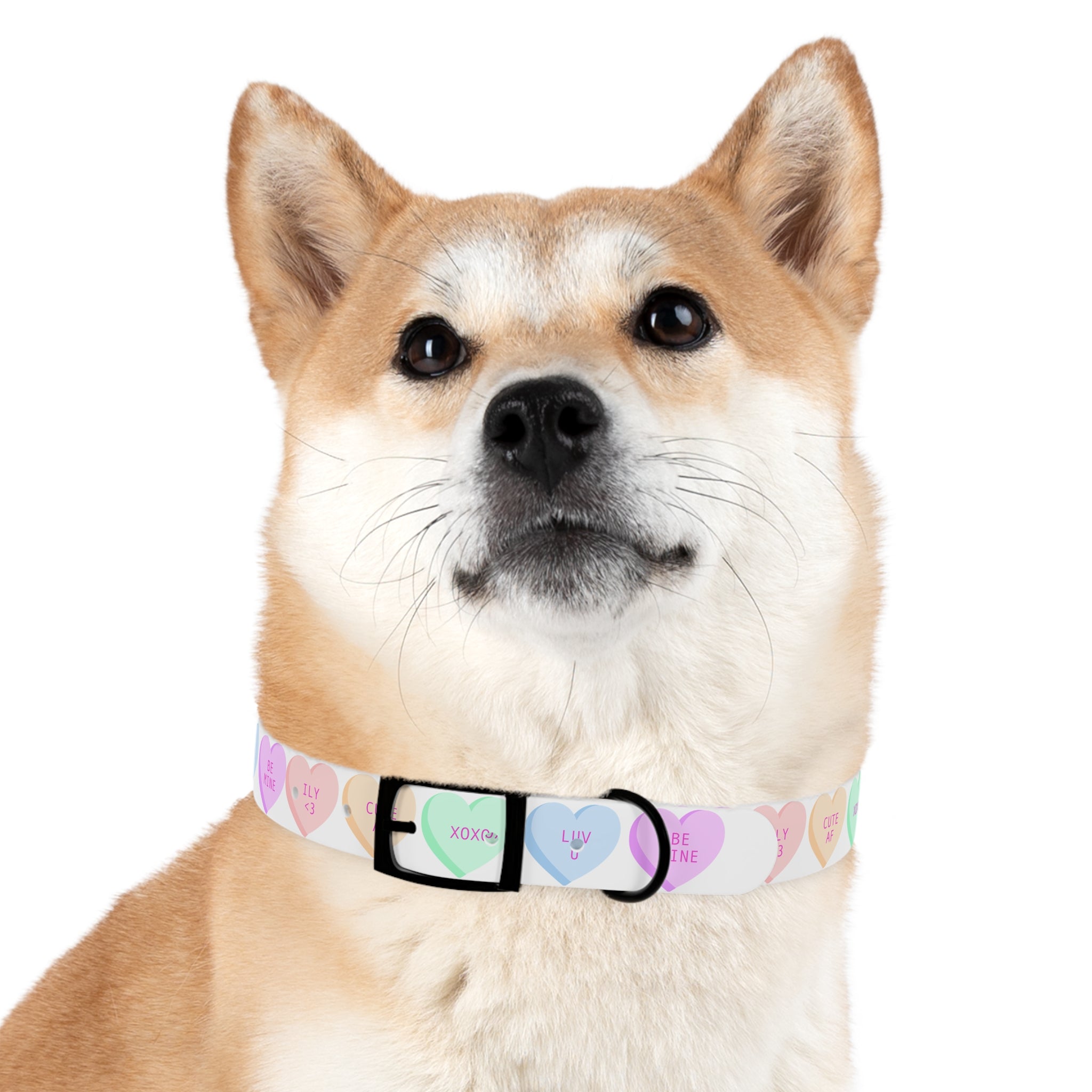 Valentine Conversation Heart Dog Collar Cute AF & Be Mine Pet Collar