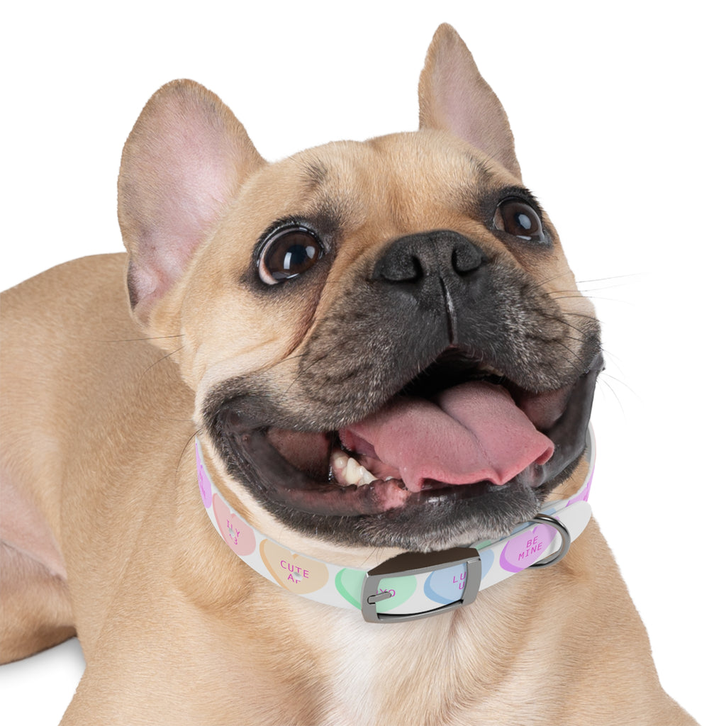 Valentine Conversation Heart Dog Collar Cute AF & Be Mine Pet Collar