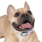 Valentine Conversation Heart Dog Collar Cute AF & Be Mine Pet Collar