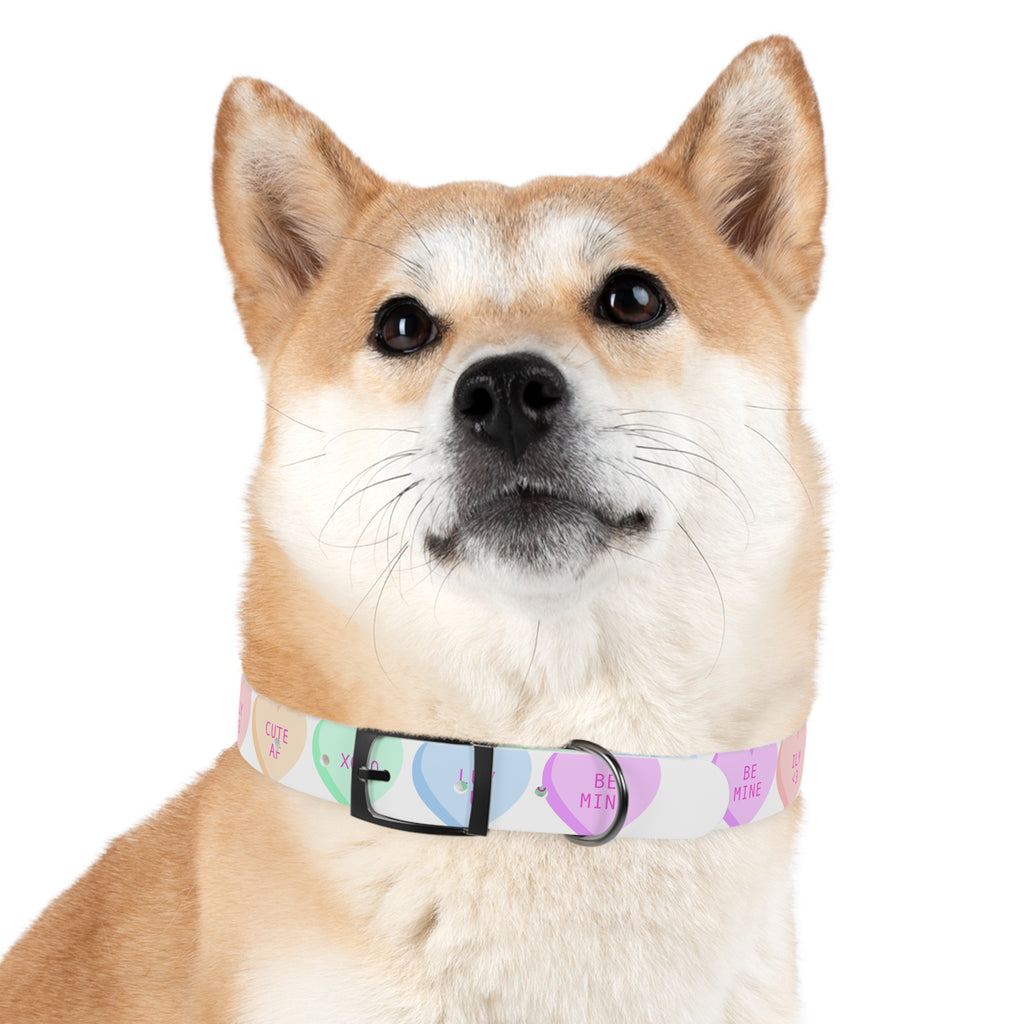 Valentine Conversation Heart Dog Collar Cute AF & Be Mine Pet Collar