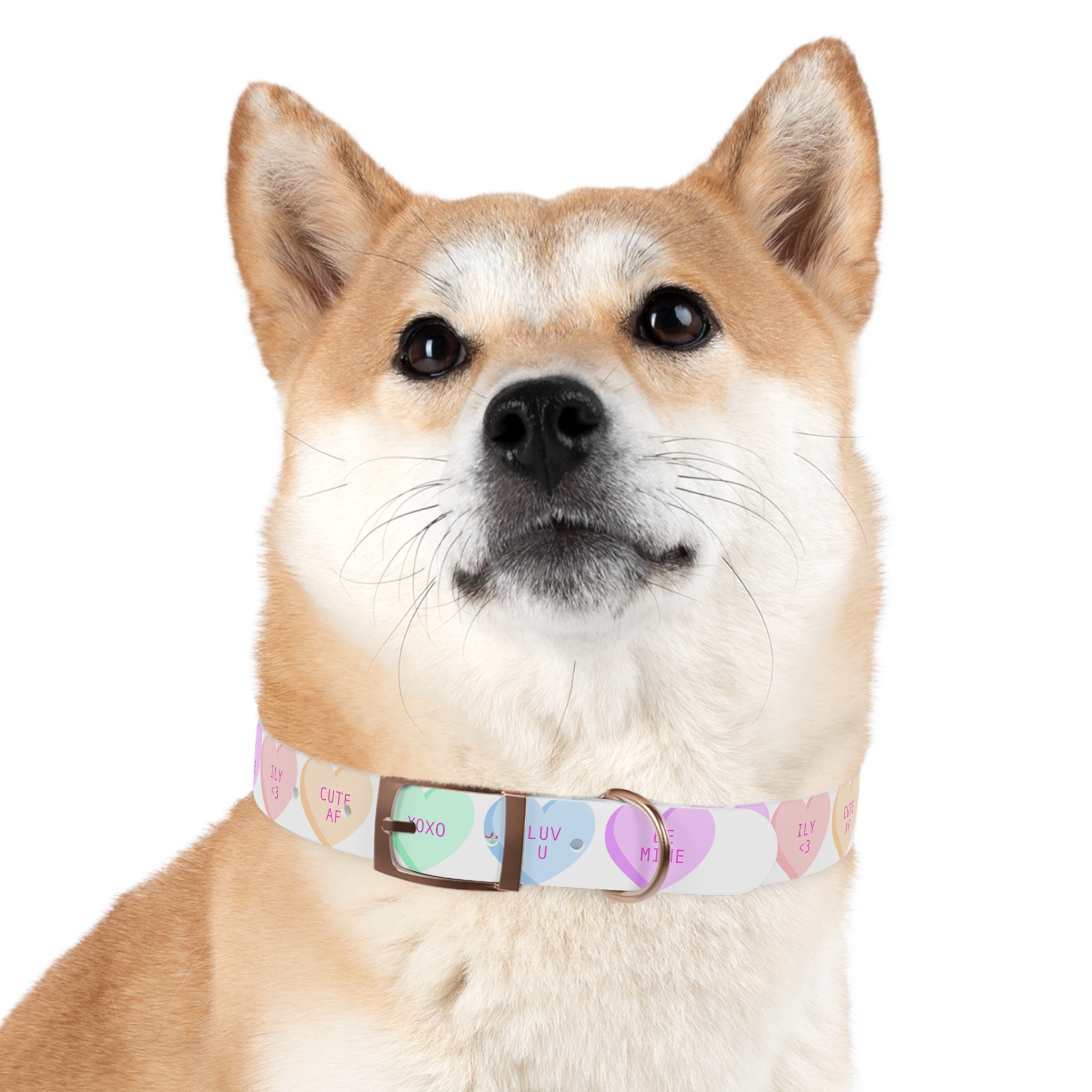 Valentine Conversation Heart Dog Collar Cute AF & Be Mine Pet Collar